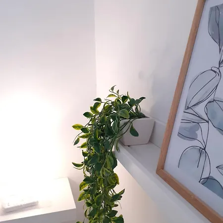 Daire Casa Giordano Nuovissimo Ed Accogliente Caserta
